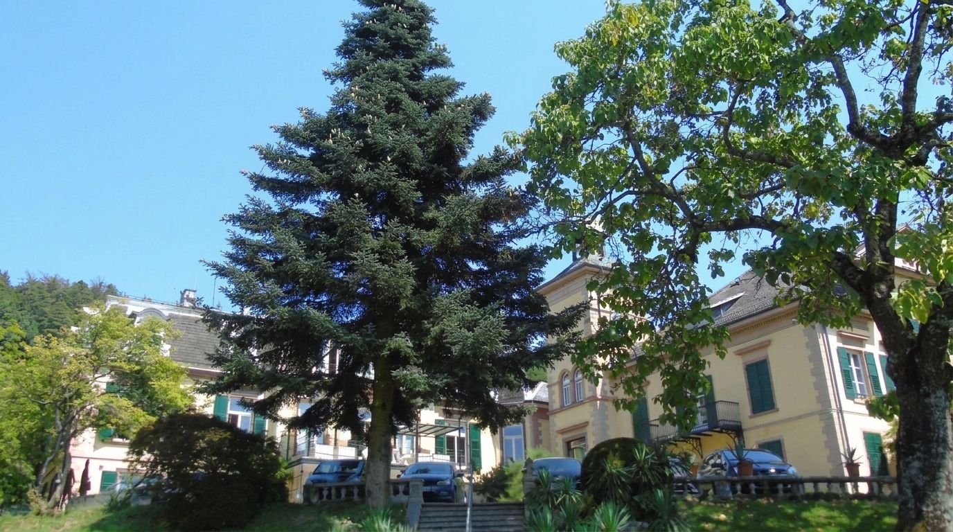 Klostergut Fremersberg – Sitz des Grünen Verlags